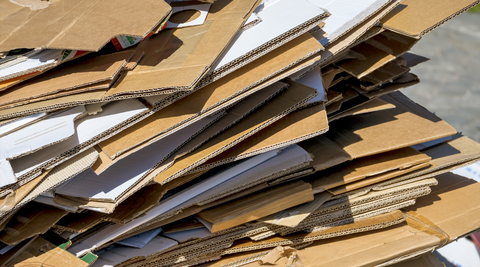 Cardboard