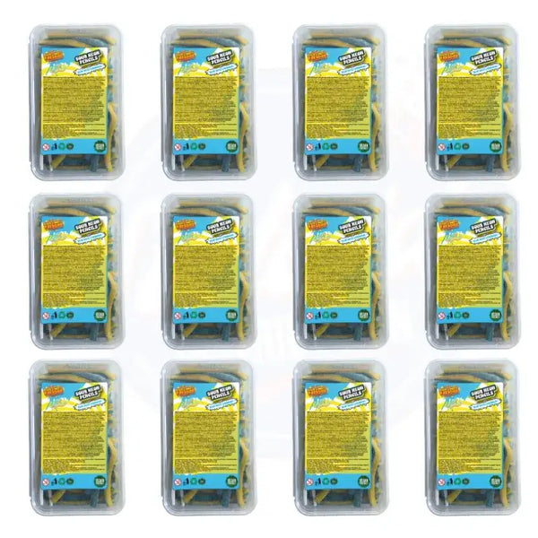 Sour Candy Paradise Neon Pencils Blue Razz Lemonade 1kg Tub - Pack of 12