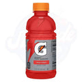 Gatorade Fruit Punch 12 fl oz/355ml - Pack of 24 - Stateside Distribution