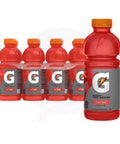 Gatorade Fruit Punch 20fl oz/591ml - Pack of 24 - Stateside Distribution