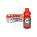 Gatorade Fruit Punch 20fl oz/591ml - Pack of 24 - Stateside Distribution